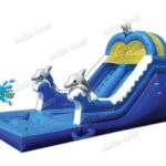 16 FT Dolphin Wet & Dry Slide