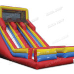 24FT Double Lane Slide