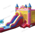 Front Slide Wet & Dry Pink Combo