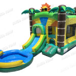 Light-Commercial Sunrise Tropical Combo ( Wet & Dry)