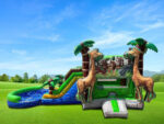 Safari Dual Lane Combo ( Wet & Dry ) - Image 3