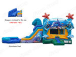 Under Sea Dual Lane Combo ( Wet & Dry ) - Image 3